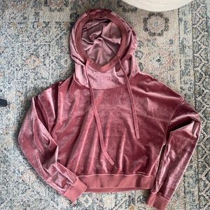 Alo Yoga Pink Velvet Hoodie